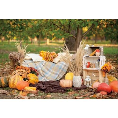 Countryside Scenery Backdrop Photography Background Photo Booth Studio Decor