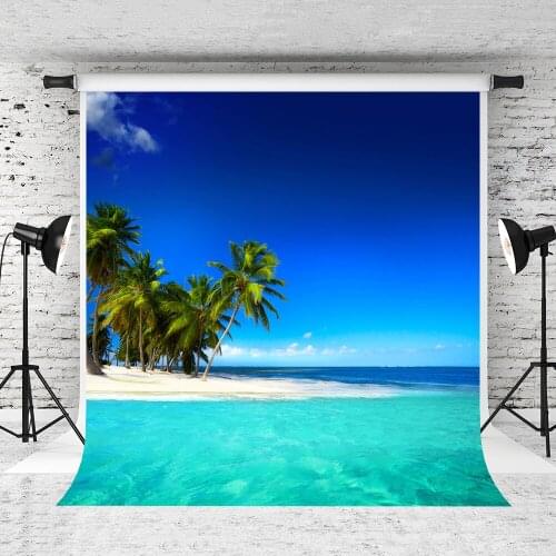 VinylBDS Seaside Scenic Photography Backdrops Summer Palm Tree Backdrops Beach Photography Backdrops Blue