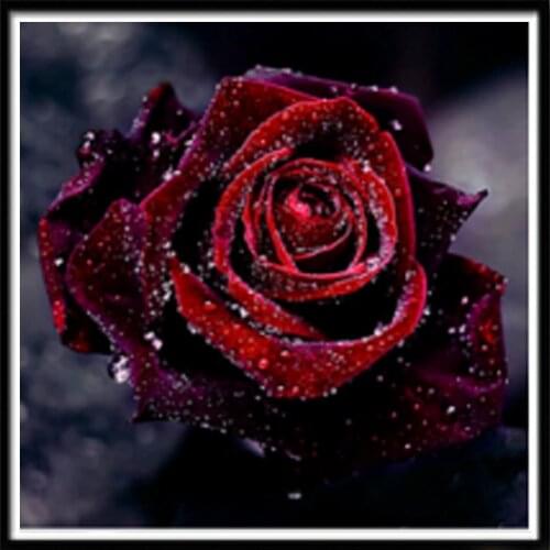 Landscape Flower Color Rose DIY Cross Stitch 11CT Embroidery Kits Needlework Craft Set Cotton Thread Printed Dropshipping