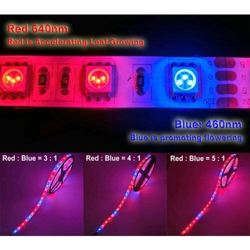 Plant Grow lights 5m Waterproof Full Spectrum LED Strip Flower phyto lamp Red blue 4:1 for Greenhouse Hydroponic+Power adapter