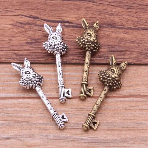 5Pcs 15X50mm 2021 New Two Color Metal Zinc Alloy Rabbit Key Charms Fit Jewelry Medical Animal Pendant Makings DIY Handmade Craft