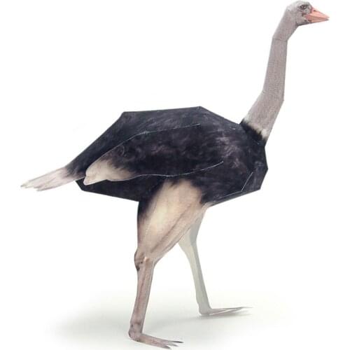 Ostrich Paper Bird Paper Model Realistic Animal Mini Cute 3D Papercraft DIY Kids Adult Handmade Construction Craft Toys WE-018