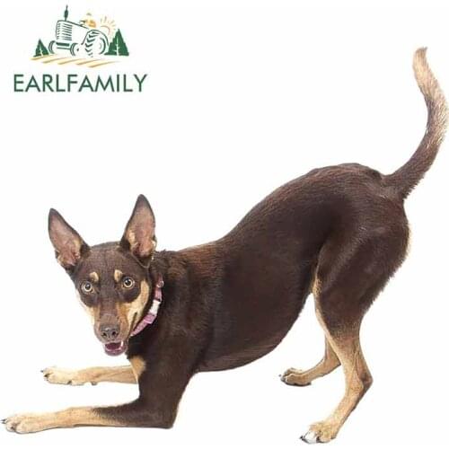 EARLFAMILY 13cm x 11.8cm The Best Dogs Waterproof Decal Fashion Car Stickers