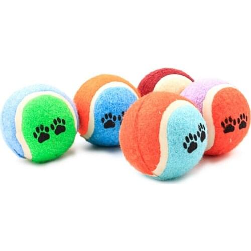 New Arrival Rubber Funny Footprint Biting Playing Toy For Cat Puppy Dog Perro Novelty Artificial Ball In Pet Product 1PC