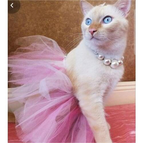 Cool Standard Stylish Cat Tutus Skirt Pink
