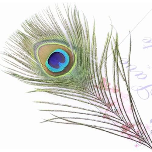 10pcs High Quality Natural Peacock Feathers 25-30cm Big Eyes Feather Used for Wedding Party Home Decorations DIY Crafts
