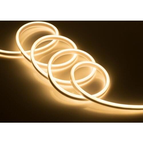 Led Neon Flex Tube 1m 2m 3m 4m 5m AC 220V SMD2835 Flexible Neon Strip Light RGB/Red/Green/Blue with EU Adapter Outdoor Lighting