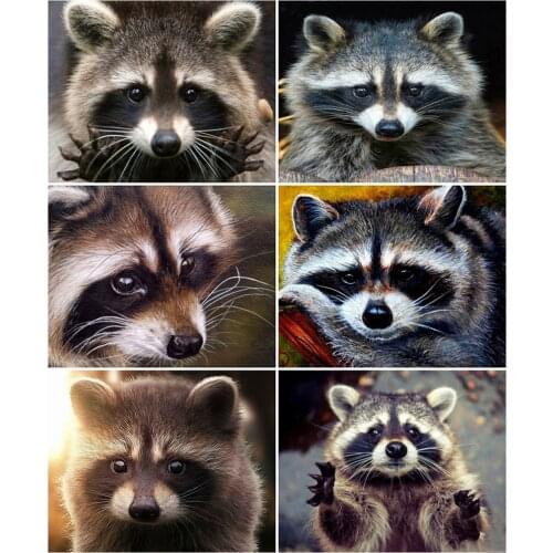 AZQSD DIY 40x50cm Coloring By Numbers Animal Picture For Living Room Home Decoration Painting By Numbers Raccoon Unique Gift