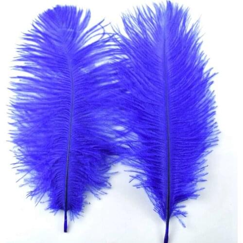 10Pcs Royal Blue Large Ostrich Feathers Clothing for Crafts Plume DIY Natural Big Feather Home Party Wedding Decoration 15-70CM