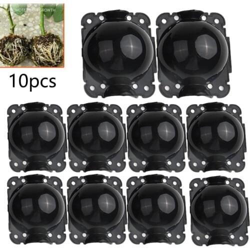 10pcs Plant Rooting Ball Grafting Rooting Growing Box Breeding Seeding Case Container Nursery Box Garden Seeds Root