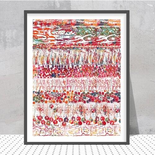 Eye Anatomy Medical Posters and Prints Optometrist Gift Ophthalmology Medicine Wall Art Canvas Painting Pictures Clinic Decor