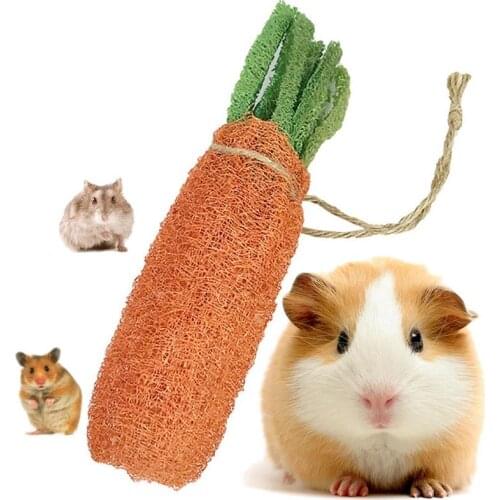 Hamster Molar Chew Toys Rabbit Accessories Carrot Shaped Pet Stuff For Small Animals Guinea Pig Bite Resistant Toys Wholesales