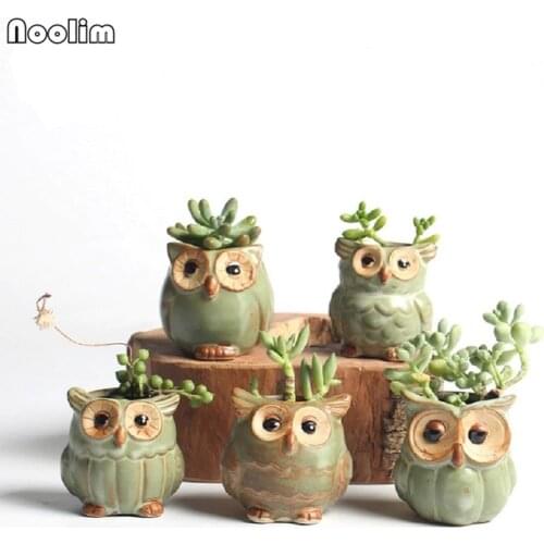 NOOLIM 5 Pcs/lot Ceramic Owl Shape Flower Pots for Fleshy Succulent Plant Animal Style Planter Home Garden Office Decoration