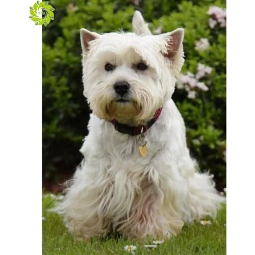 SNA Rhinestone Painting Crystal Decor Diy Diamond Painting Animal dog cat 3D Cross Stitch Pattern Diamond Embroidery