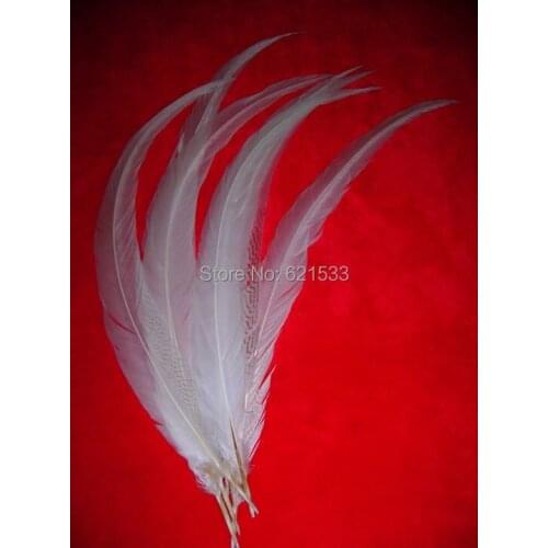 10Pcs/lot! 26-28" 65-70cm Super Long Natural Silver Pheasant Tail Feathers,Silver Pheasant Tails