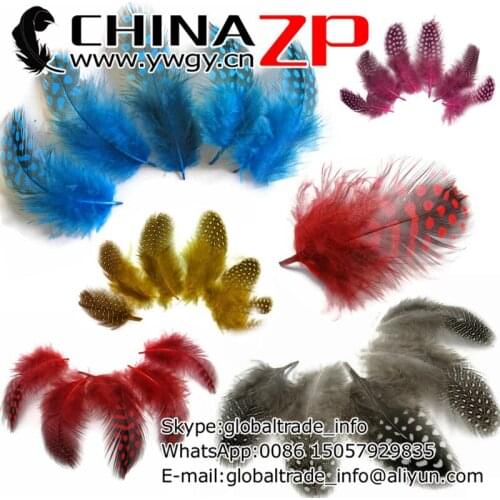 CHINAZP Factory 500pieces/lot Cheap Wholesale Dyed Mix Colors Guinea Hen Plumage Feathers