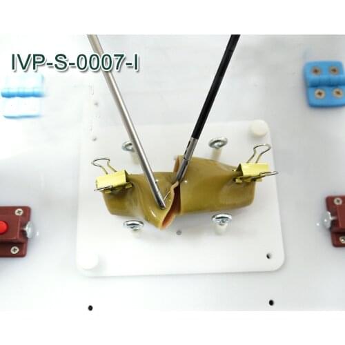Intestinal Suture Training Model Intestinal Suture Model Bracket Clip Laparoscopic Surgery Training Practice Aids