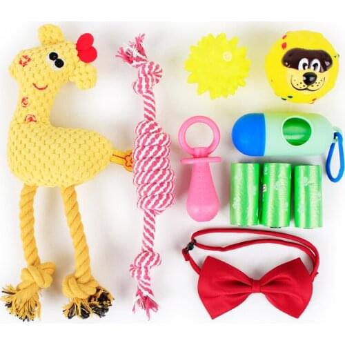Wholesale Outlet 8 Kinds 10 Pieces of Pet Toy Package Suit Dog Toy Set Pet Toy-009