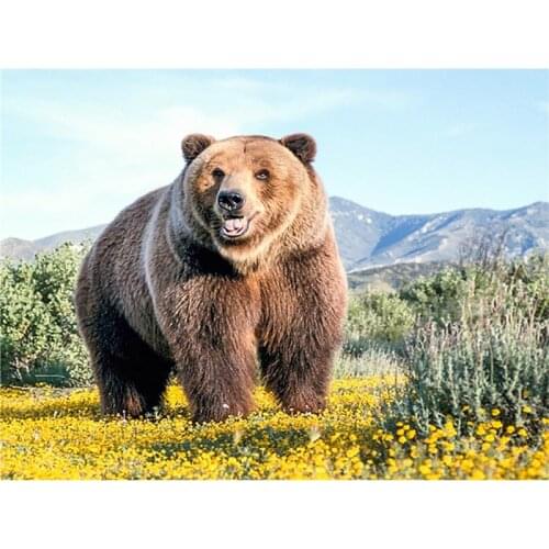 5D DIY Full Square Diamond Painting Brown Bear Embroidery Cross Stitch Rhinestone Mosaic Home Decoration Handmade Pictures