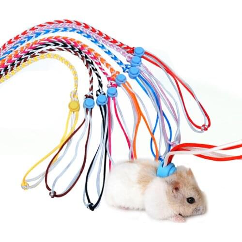 2 Meters Small Animal Leash Adjustable Hamster Leash For Rats Ferret Mouse Squirrel Small Pet Carry-On Supplies Random Color