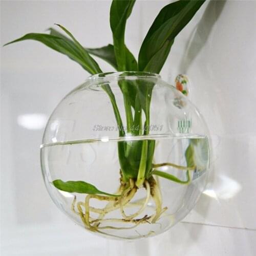 Transparent Clear Glass Round Terrarium Container Flower Plant Stand Hanging Vase Hydroponic Ball Home Wedding Garden Decor
