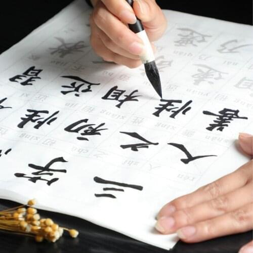 Chinese Brush Calligraphy Copybooks Student Medium Regular Script Practice Copybooks Beginner Poem Copybook with Chinese Pinyin