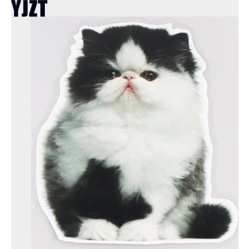 YJZT 15.5×17.3CM Little Persian Cat Lovely Animal Car Sticker Body Scratch Cover Decoration Accessories 21A-0576