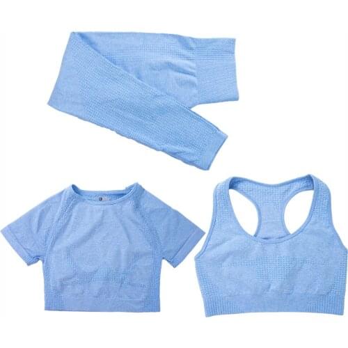 ROSE BEAR Fitness And Bodybuilding Products