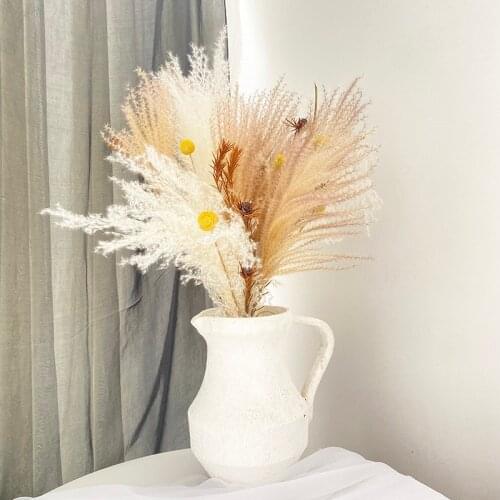 Pampas Grass Decoration Bouquet Home Plants Dekoration Small Reed Natural Dried Phragmites Wedding Flower Bunch for Home Decor