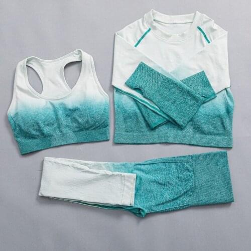 Women Yoga Set Seamless Fitness Suit Gym Clothing Shorts Workout Top Sport Long Sleeve Shirt High Waist Leggings Running Bra