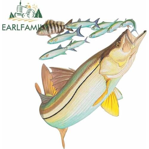 EARLFAMILY 13cm x 11.1cm For Fish DIY Car Stickers Laptop Fine Decal Cartoon Graphics Waterproof Vinyl Material Suitable for VAN