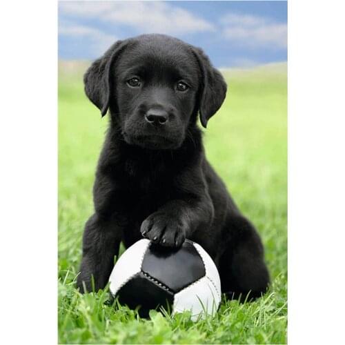 Hot new Full Square/Round 5D DIY Diamond Painting Animal Labrador Dog and Football Diamond Embroidery Home Decor