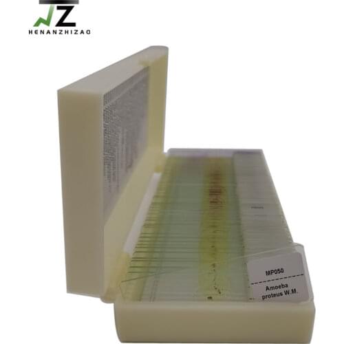 50 pieces kinds Parasitology Prepared Slides Set Students Study Medical Microscope Slides