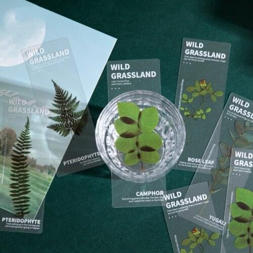 5pcs Nature Plants Bookmarks PET Translucent Flower Book Note Marker Page Holder Stationery Office School Reading Gift