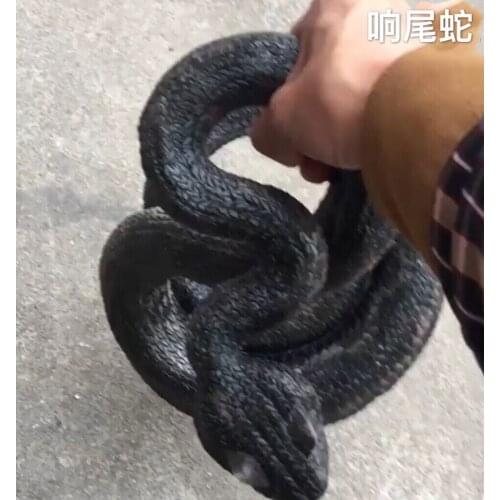 Rattlesnake King Cobra animal simulation model toy