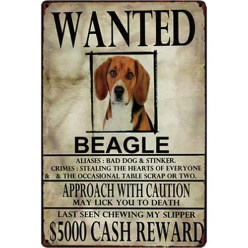 [ Kelly66] Dogs Beagle Wanied Metal Sign Tin Poster Home Decor Bar Wall Art Painting 20*30 CM Size y-2102