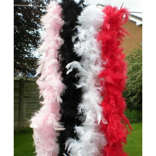 Feather boa 200cm burlesque showgirl hen night fancy dress party dance costume accessory wedding DIY decoration 17colors