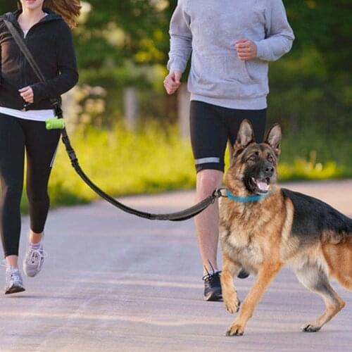 6in1 High Quality Large Dog Leash Rope Nylon Adjustable Training Dog Leash Pet Dog Strap Reflective Rope Traction Dog Collar
