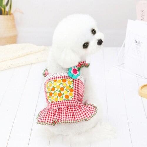 Cute Dog Clothes for Small Dogs Summer Designer Dress Clothing for French Bulldog Pomeranian Chihuahua York Puppy Pet T-Shirt