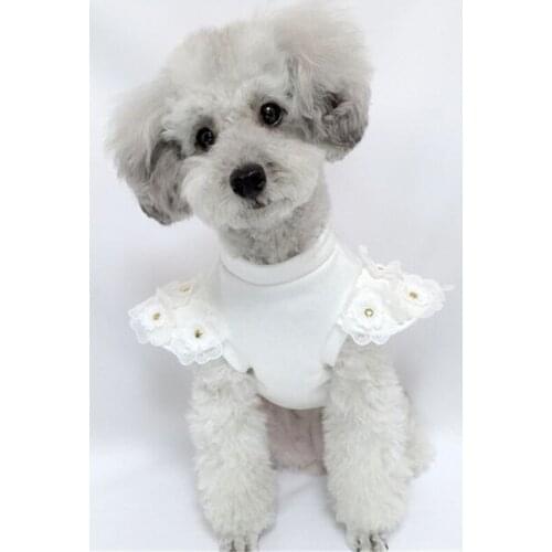 Winter Dog Shirt Small Dog Hoodie Cat Yorkshire Pomeranian Poodle Bichon Schnauzer Costume Pet Dog Clothes Puppy Clothing Coat