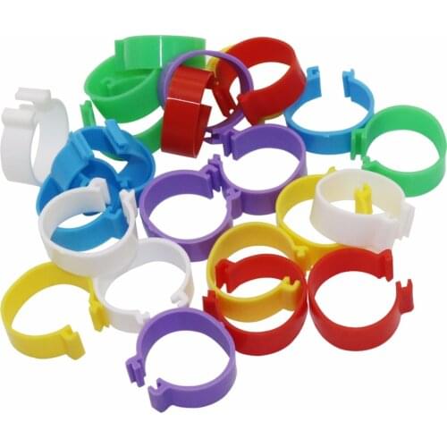 300 Pcs 6 Colors Internal Diameter 25mm Buckle Type Clip Rings Chicken Duck Goose Adult Turkey Poultry Foot Ring