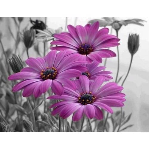 Cross Stitch Kits Crafts Purple daisy flowers Oil Painting Needlework 14CT Unprinted Embroidered Handmade Wall Home Decor