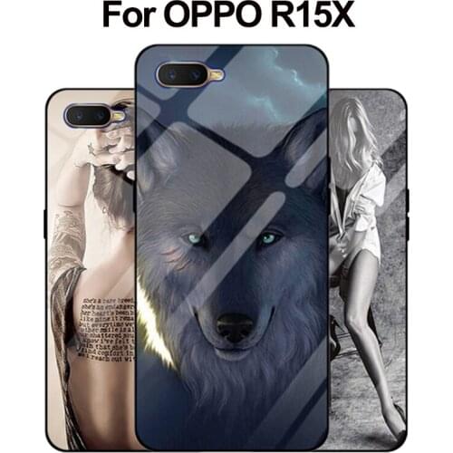 6.4" For OPPO R15X case Luxury Tempered Glass Case OPPOR15X Silicone Frame Glass Hard Back Cover For OPPO R15 X Case shell