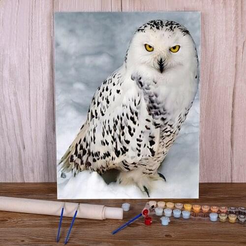 Bird Owl Animal DIY Paint By Numbers Package Acrylic Paints 40*50 Oil Painting Wall Paintings For Handicraft