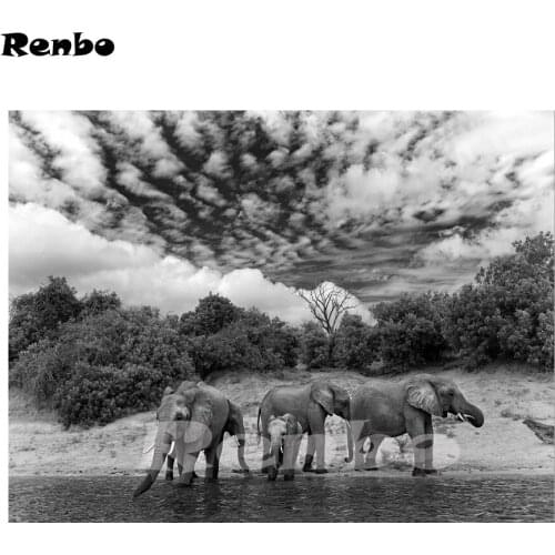 Needlework Diy Diamond Painting Kit 5D Full Diamond Embroidery Black and white Elephant Cross Stitch Diamond Painting Rhinestone