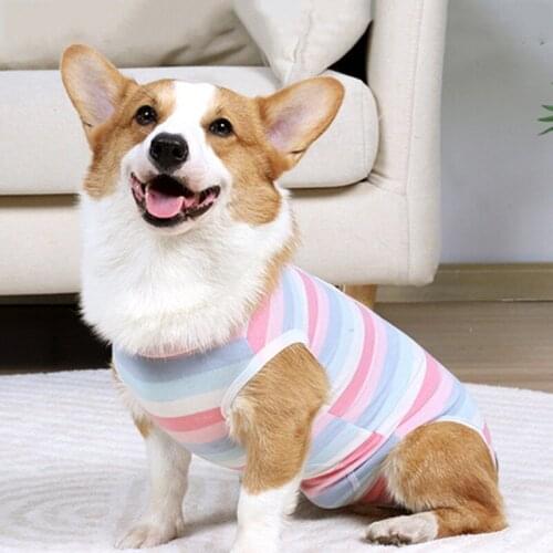 Pet Dog Operation Clothes Dogs Four-Legged Jumpsuit Anti Licking Wounds After Surgery Surgery Suit Puppy Recovery Suit