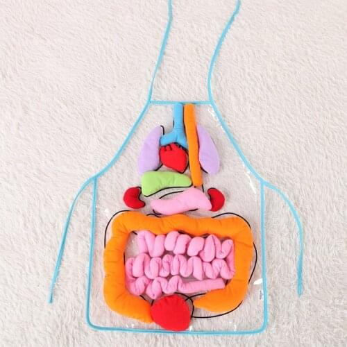 Funny Early Education Apron Kids Educational Toy Baby Puzzle Apron Cartoon Stereo Body Organs Biology Toys Kid Gift Learning Toy