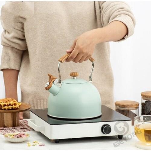 Kettle household items suitable for induction cooker gas stove whistling stainless steel kettle kitchen accessories cold kettle