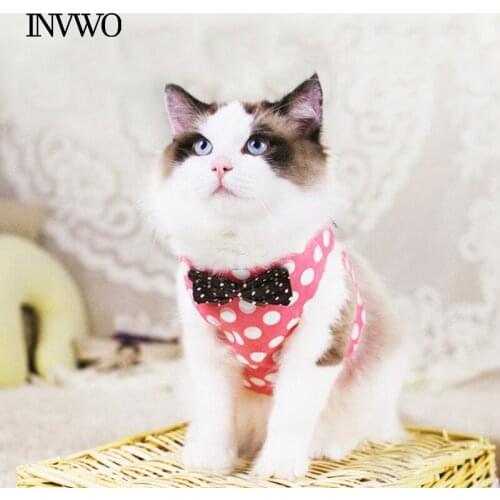 INVWO Cat Chest Strap Vest Cat Harness Breathable Mesh Comfortable Available in All Seasons Not Easy to Break Sturdy and Durable