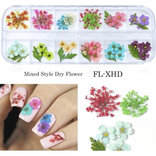 3D Natural Floral Nail Art Dried Flower Pedicure Manicure Decoration Real Preserved Flowers Nails Mixed Beauty Summer Gel Tips